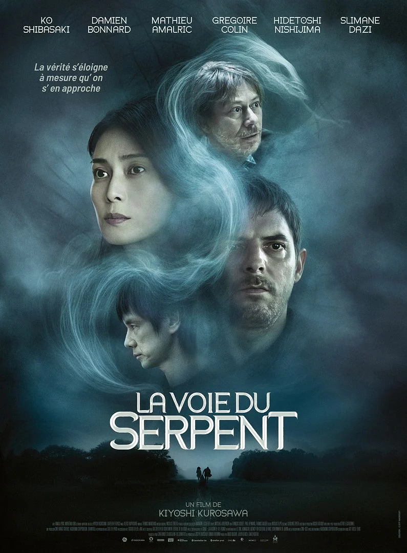 Affiche du film La Voie du Serpent